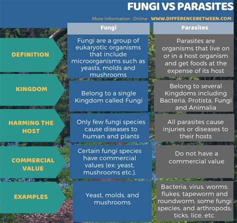Difference Between Fungi And Parasites Compare The Difference Between