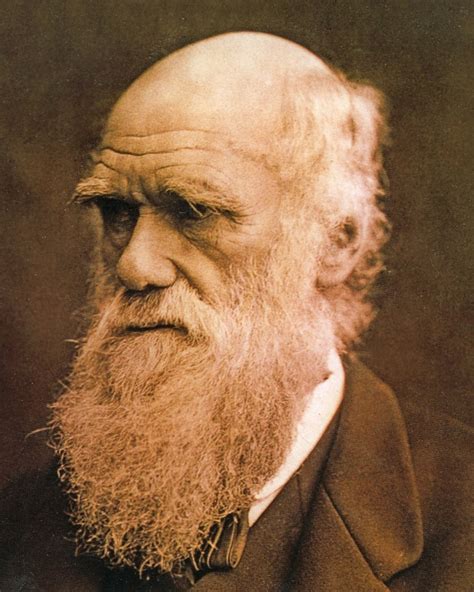 First Picture Of Young Charles Darwin On Hms Beagle Reveals Shipmate
