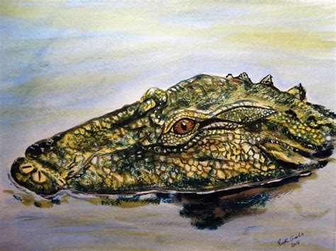 Alligator Head Iii Original Watercolor Alligator Art