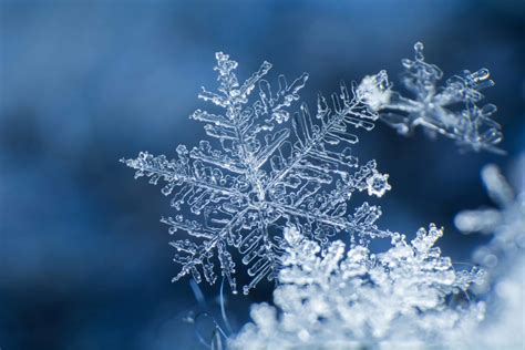 Snowflakes No Two Are Alike And That Was Discovered In Vermont