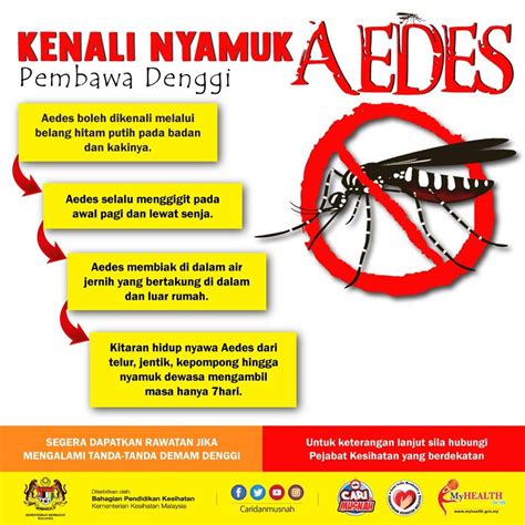 Poster Kitaran Hidup Nyamuk Aedes Putuskan Kitaran Hidup Nyamuk Aedes