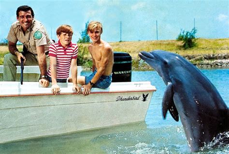 De Eerste Film Over De Vriendelijke Dolfijn Flipper Verscheen In Het Werd Een Groot