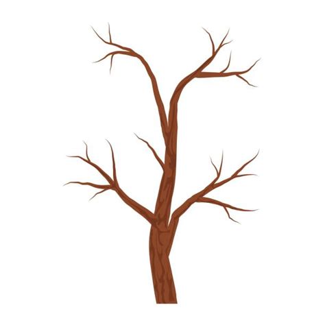 Tree No Leaves Illustrations Royalty Free Vector Graphics And Clip Art