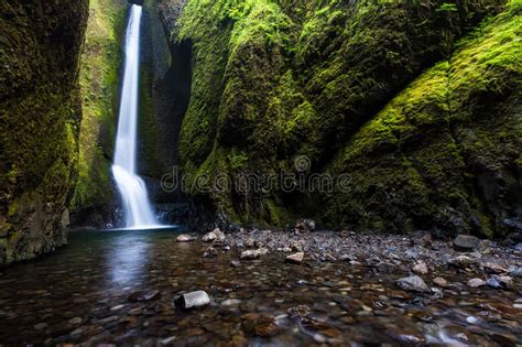Waterfalls In Oneonta Gorge Trail Oregon Stock Photo Image Of Stream