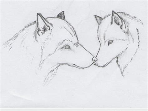 Wolf Sketch By Greywolves Redroses On Deviantart