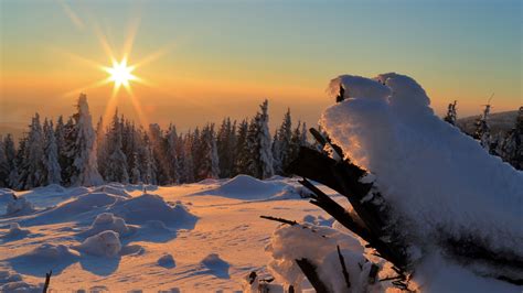 Winter Snow Sunset Drifts Trees 4k Hd Wallpaper