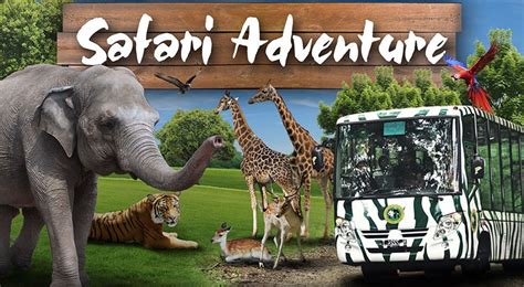 Prigen Safari Park The Most Extensive Safari Park In Asia