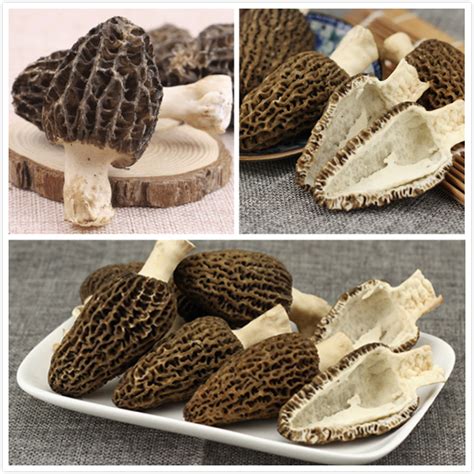 Fresh Morel Mushroom Price Of Black Morel/Morchella Conica