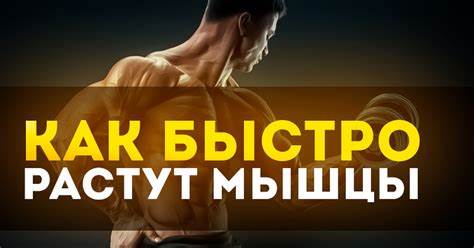 Как надо заниматься чтобы накачаться Как быстро растут мышцы: Сколько времени нужно, чтобы накачаться | Пикабу Как быстро растут мышцы: Сколько времени нужно, чтобы накачаться | Пикабу Как надо заниматься чтобы накачаться