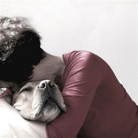 21 Touching Photos Of Relationship Between Dogs And Humans Design Swan