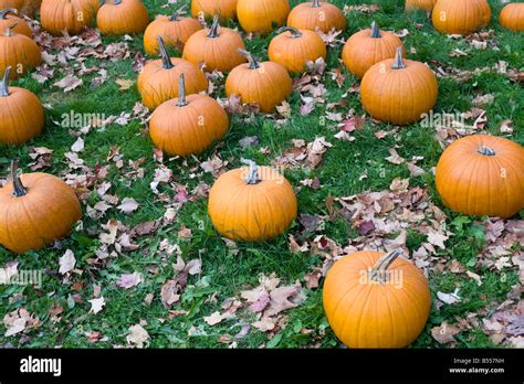 Vermont Autumn Killington Hi Res Stock Photography And Images Alamy