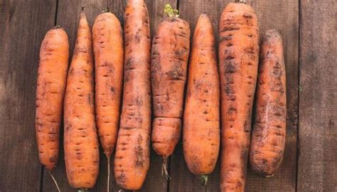 How To Tell If Carrots Are Bad Kitchensanity