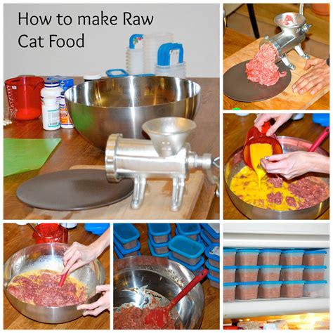 Wholesome ingredients raw food recipes food raw dog food recipes raw cat food recipes real ingredients recipes freeze drying food food animals. Top Blog Posts of 2015 | Meow Lifestyle