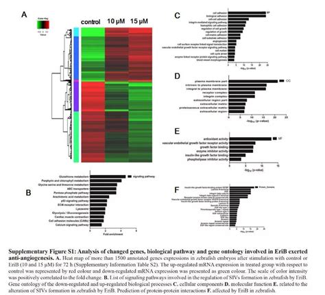 Rnaseq