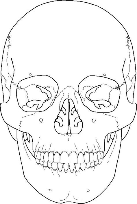 Select from 35870 printable coloring pages of cartoons, animals, nature, bible and many more. Skeleton Coloring Pages Anatomy at GetColorings.com | Free ...