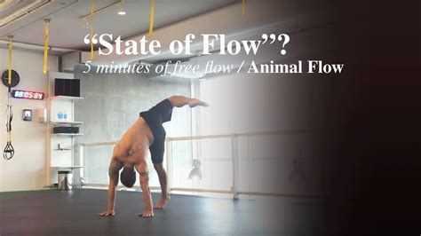 5 Minutes Free Flow Movement Youtube Animal Flow Yoga Fitness