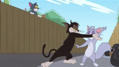 The Tom And Jerry Show Season 3 Episode 34