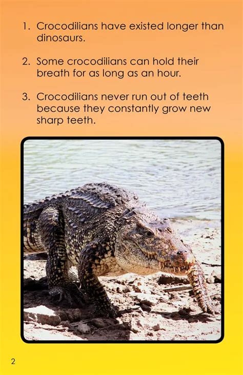 Amazing Animal Facts Vol 3