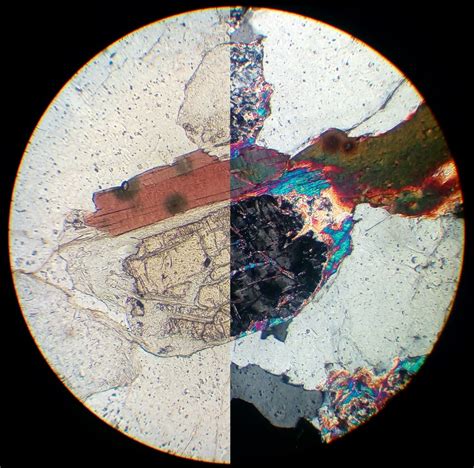 Cordierite Sericitization 30 µm Thin Section Pplxpl Flickr