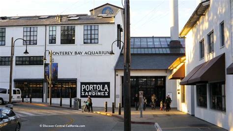 The Monterey Aquarium The Wonders Of The Ocean Up Close Monterey