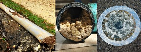 3 Warning Signs Of A Clogged Sewer Line Rodgers Plumbing Dallas