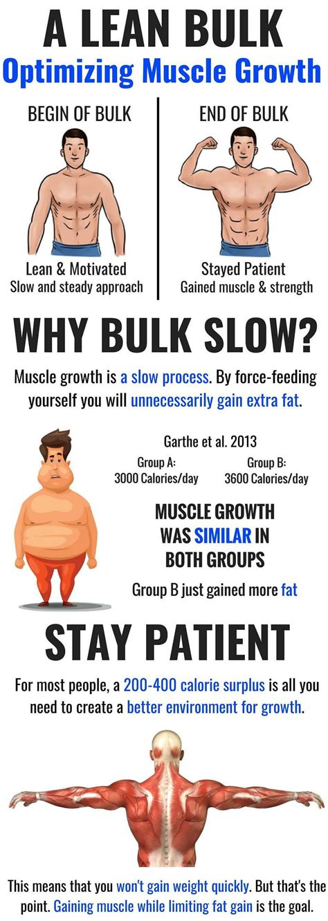Bulking Phase For More Muscle Gain Eating At A Caloric Surplus Can Indeed Increase Muscle