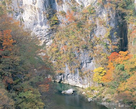 Iwate Travel Geibikei Gorge Wow U Japan