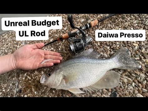 Daiwa Presso Ultralight Spinning Rod Is THE DEAL Fishing Review