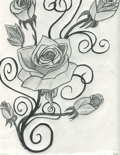 Vines And Flowers Drawing At Getdrawings Free Download