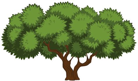 Trees Clip Art Png Clip Art Library