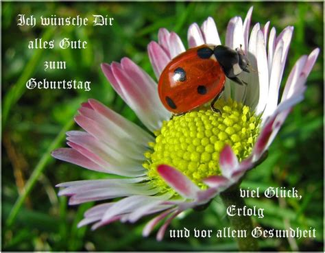 Aber auch für eine kurze sms oder einen spruch über whatsapp sind diese sehr gut geeignet. Geburtstagsspruch Und Bilder - Geburtstagstorte