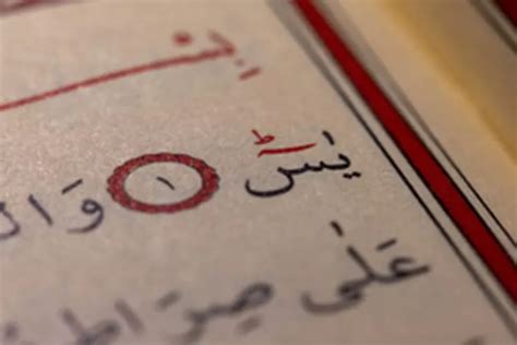 Surat Yasin Ayat Lengkap Dengan Tulisan Arab Latin Dan Terjemahan