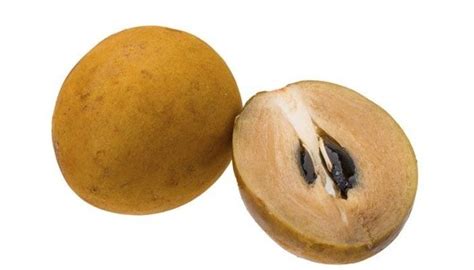 Jun 01, 2021 · priced between rs 40 to rs 70 per sapling, sawant sells around 2 lakh mango saplings a year and an additional 1 lakh of custard apple, jamun, fig, chikoo, guava, tamarind and lemon saplings, cumulatively. What is chikoo called in English? - Quora