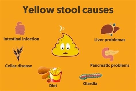 Bright Yellow Stool Causes Stools Item