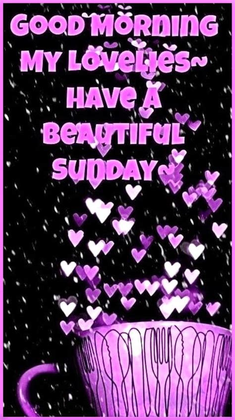50 Best Happy Sunday Quotes To Share Sunday Quotes Happy Sunday