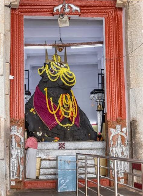 16 Divine Darshans Of Nandi Maharaj 1 Kedarnath Mandir Uttarakhand