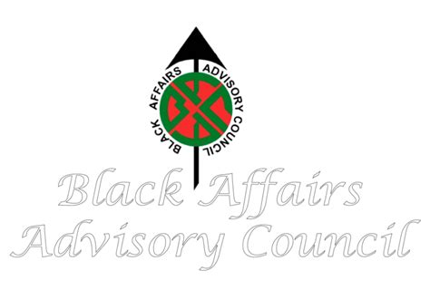 Insights Black Affairs Advisory Council