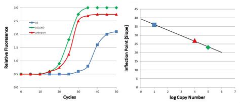 Quantitative Real Time Pcr