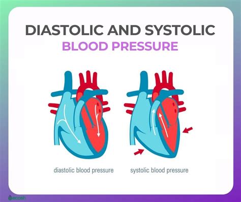 Low Blood Pressure Hypotension Diagnosis Symptoms And 12 Tips To