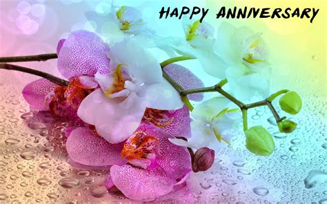 Anniversary Pictures Images Graphics For Facebook Whatsapp