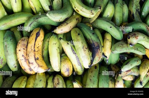 Spanish Banana Hi Res Stock Photography And Images Alamy