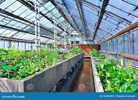 A Greenhouse Of A Botanical Garden With Aquatic Plants Imitation Of