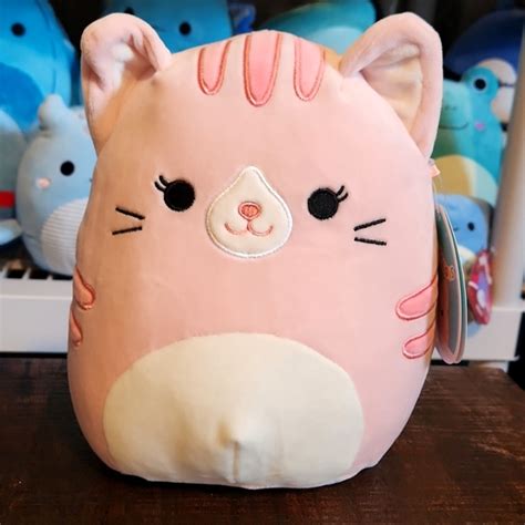 Squishmallows Toys Squishmallows Laura The Pink Cat 8 Poshmark