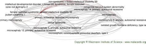 Female Restricted Syndromic X Linked Intellectual Disability Disease