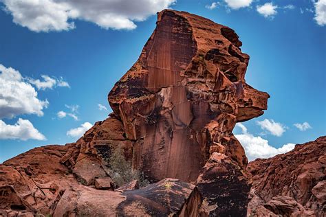 Looks Like Snoopy To Me Valley Of Fire State Park Nevada Photograph