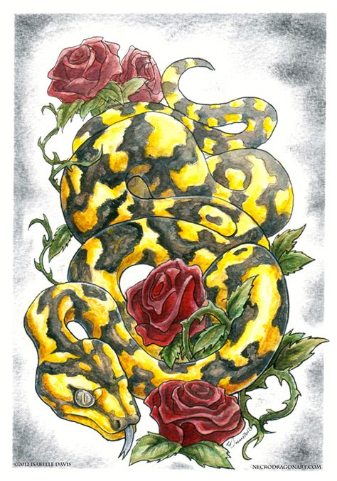 Snake N Roses By Drakhenliche On Deviantart