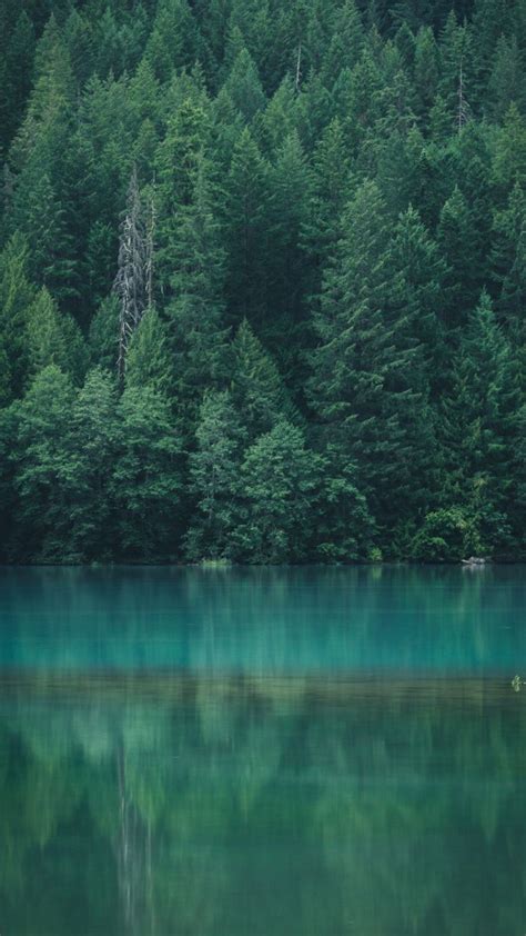 Lake Trees Reflections North Cascades National Park 720x1280 Wallpaper Forest Wallpaper