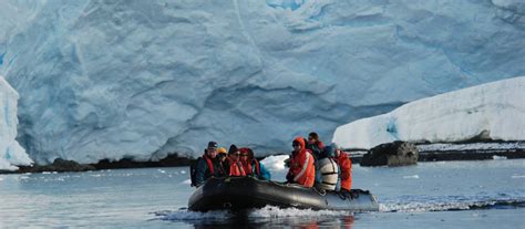 Antarctic Discovery In Search Of Whales Cruise World Expeditions