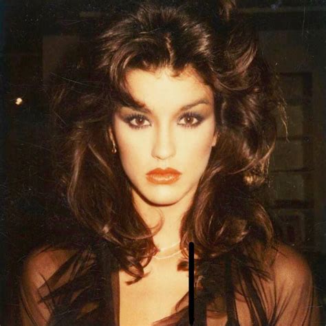 “supermodel Janice Dickinson In The 80s Janice Dickinson Supermodels