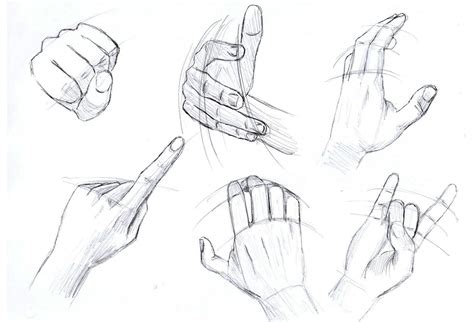 Hand Drawing Reference Vinalasopa